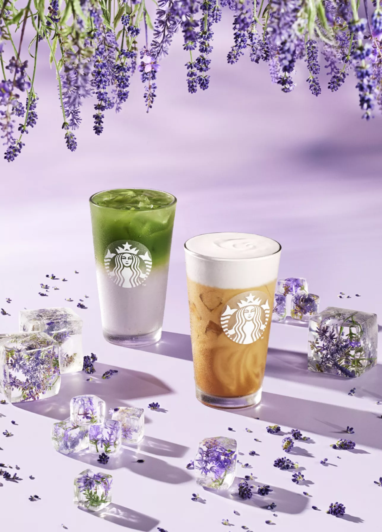 Imagen Lavanda Velvet Latte y Iced Lavanda Matcha Latte